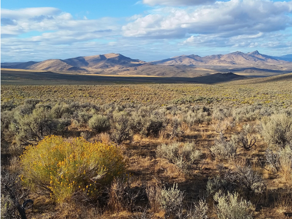 Oregon open land