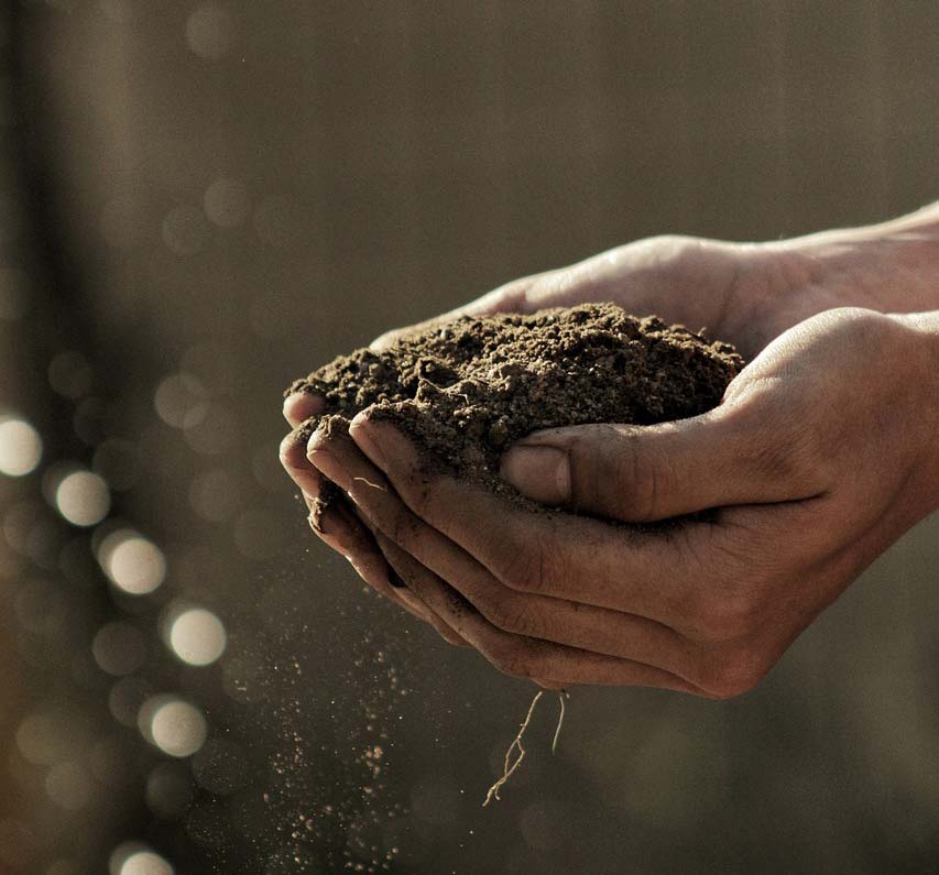 Soil in Hand