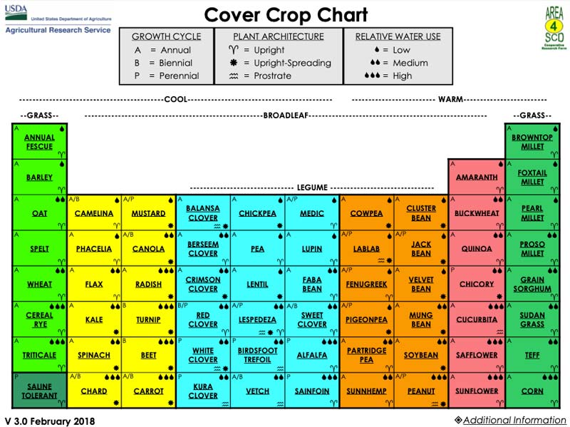 Cover crops thumb