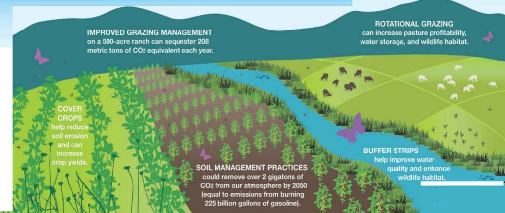 Grazing and soil health