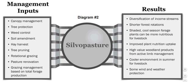 Management inputs and results