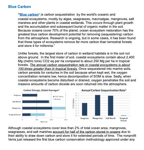 Other Environments for carbon sequestration